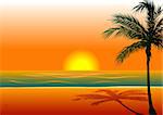 Vector Illustration of Beach Background 1 during sunset/sunrise.