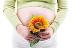 Young Mother holding a sunflower on white background