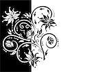 Illustration of abstract floral ornament in black and white colors