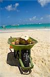 A coconut drink in wheelbarrow on beach