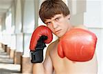 Close-up photo of young boxer with copy space