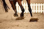 A close up of horse hooves in gallop on the sand