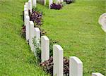 Rows of headstone at military memorial