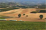 View on vineyards and cultivated fields of Piedmont in northern Italy.