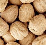 walnut group close up , background .