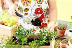 Elderly woman replanting flowers for better growth