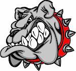 Cartoon Image of a Bulldog Mascot Head