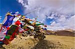 buddhist prayer flags flying with high winds in the himalayan mounatains of ladakh