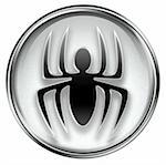 Virus icon grey, isolated on white background.