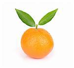 tangerine isolated on a white background