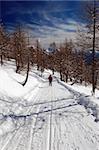 Woman snowshoeing descending, Italian alps, Val Bognanco