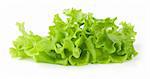 Fresh green Lettuce salad