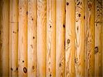 The pine log architecture natural abstract wood background
