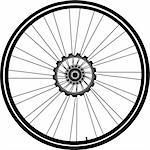 bike wheel with tire and spokes isolated on white background