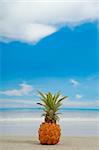 Pineapple on the beach near the water. Withe a  blue and cloudy sky.