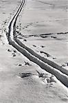 Cross country ski track on field