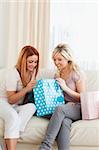 Cute young Women with shopping bags in a living room