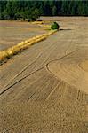 Plowed field seen from a high angle view