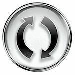 refresh icon grey, isolated on white background.