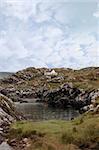 scenic view of a holiday home among the rocky lanscape in kerry ireland