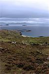 scenic view in kerry ireland of fields coastline and islands