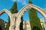 Bellapais Abbey stone arcs with trees in the middle. North Cyprus.