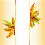 Abstract colorful autumn maple leaves background