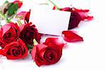 Red rose with petals and blank gift card for text