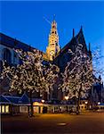 The famous st Bavo Church in Haarlem, with two illuminated trees in the foreground