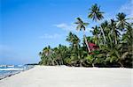 palm tree fringed white sand alona beach on bohol island the philippines