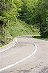 road at forest in mountains of Asturias Spain