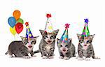 Singing Kittens on a White Background With Birthday Hats and Balloons