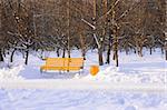 Bright yellow bench in the evening winter park