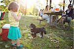 Little Girl and Dog at Picnic