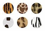 Six African wild animal skins in circle button