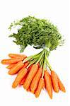 Bunch of fresh carrots with shadow on white background