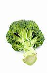 Fresh and healthy broccoli with shadow on white background