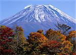 Fall colors with majestic Mount Fuji towering in the background.