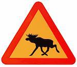 a triangle traffic sign warns attention elk