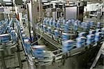 automated production line in modern dairy factory