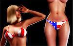 A sexy women with a USA Flag Bikini a great image for patriotic Americans