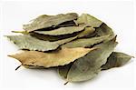 dried bay leaves in pale on white background