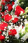 Beautiful red roses with focus on single bud in the foreground