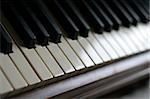 A closeup of the keys of a piano, shot with shallow depth of field.