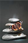 Pebble stack with red admiral butterfly; butterfly is lit up by shaft of sunlight