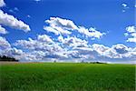 Paysage de printemps magnifique avec un ciel bleu et l'herbe verte