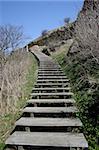 Hammershus is a former Danish fortress located on Hammeren, the northern tip of Bornholm and erected in the 12th century. It is located 74 meters above sea level, it is believed to have been constructed by one of the Archbishops of Lund, the primate in Catholic Denmark.