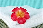 Fragapani flower candle on a white towel - spa products