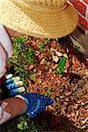 Senior woman working in her garden in the spring