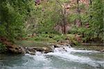 Havasu Falls located on the Havasupai Indian Reservation, Arizona